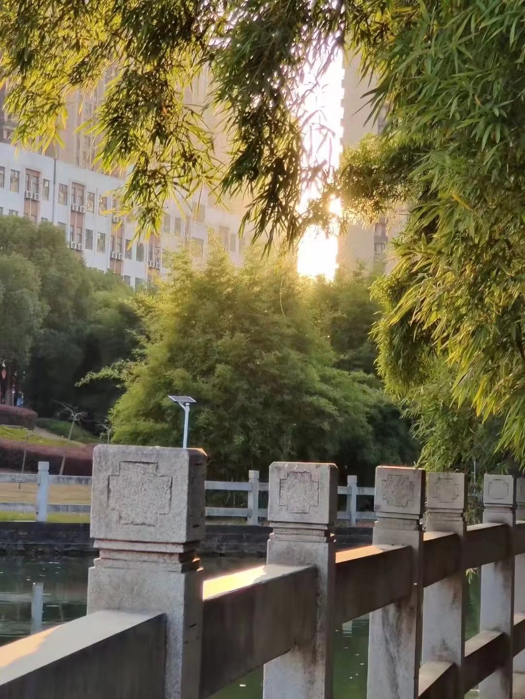 湖边春色